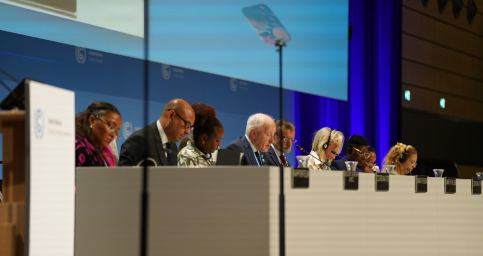 June Climate Meetings Take Modest Steps Forward; Steep Mountain Still to Climb Ahead of COP29