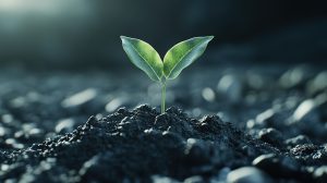 Carbon Markets Africa Summit 2026